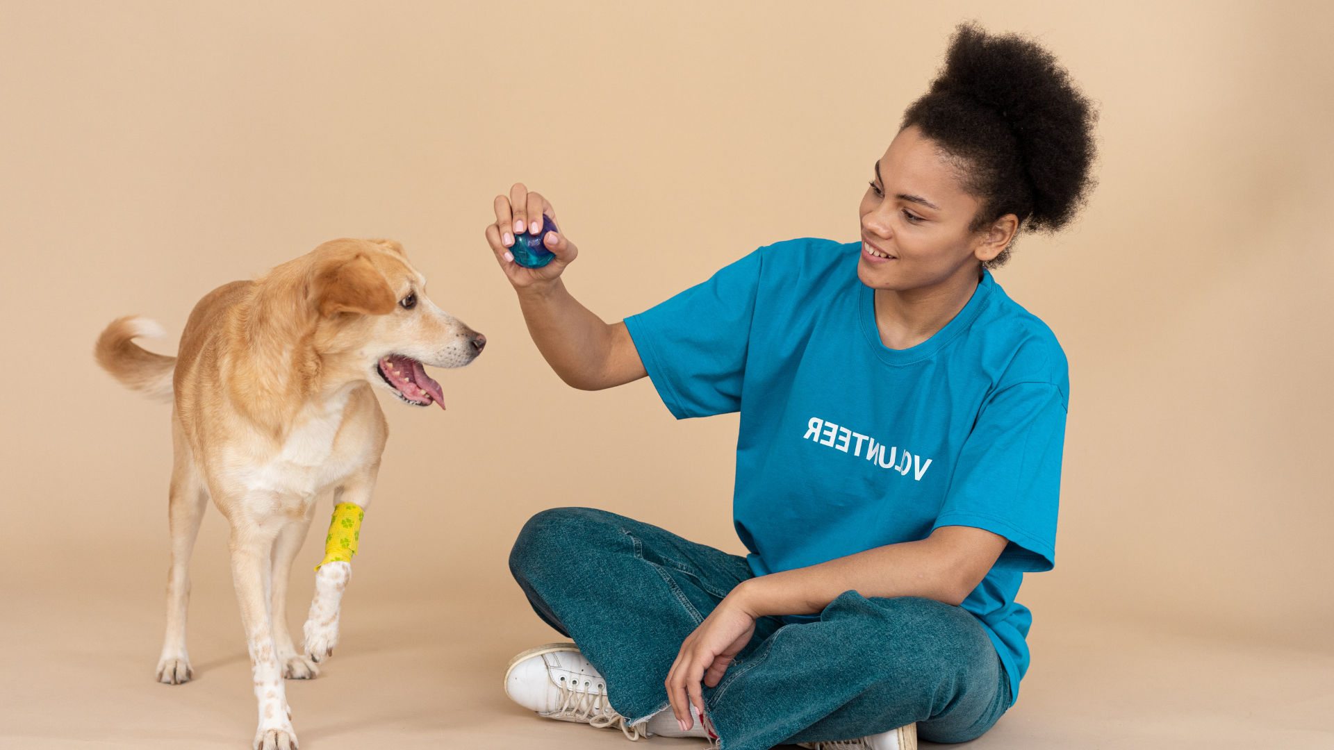 A handler rewarding a specialized pest control dog with a toy after a successful inspection sweep.