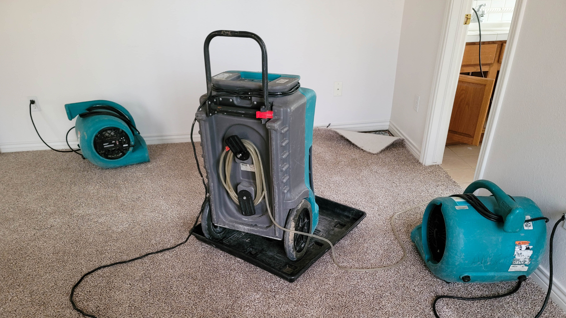 Professional thermal remediation equipment and air movers setup inside a home for bed bug heat treatment.