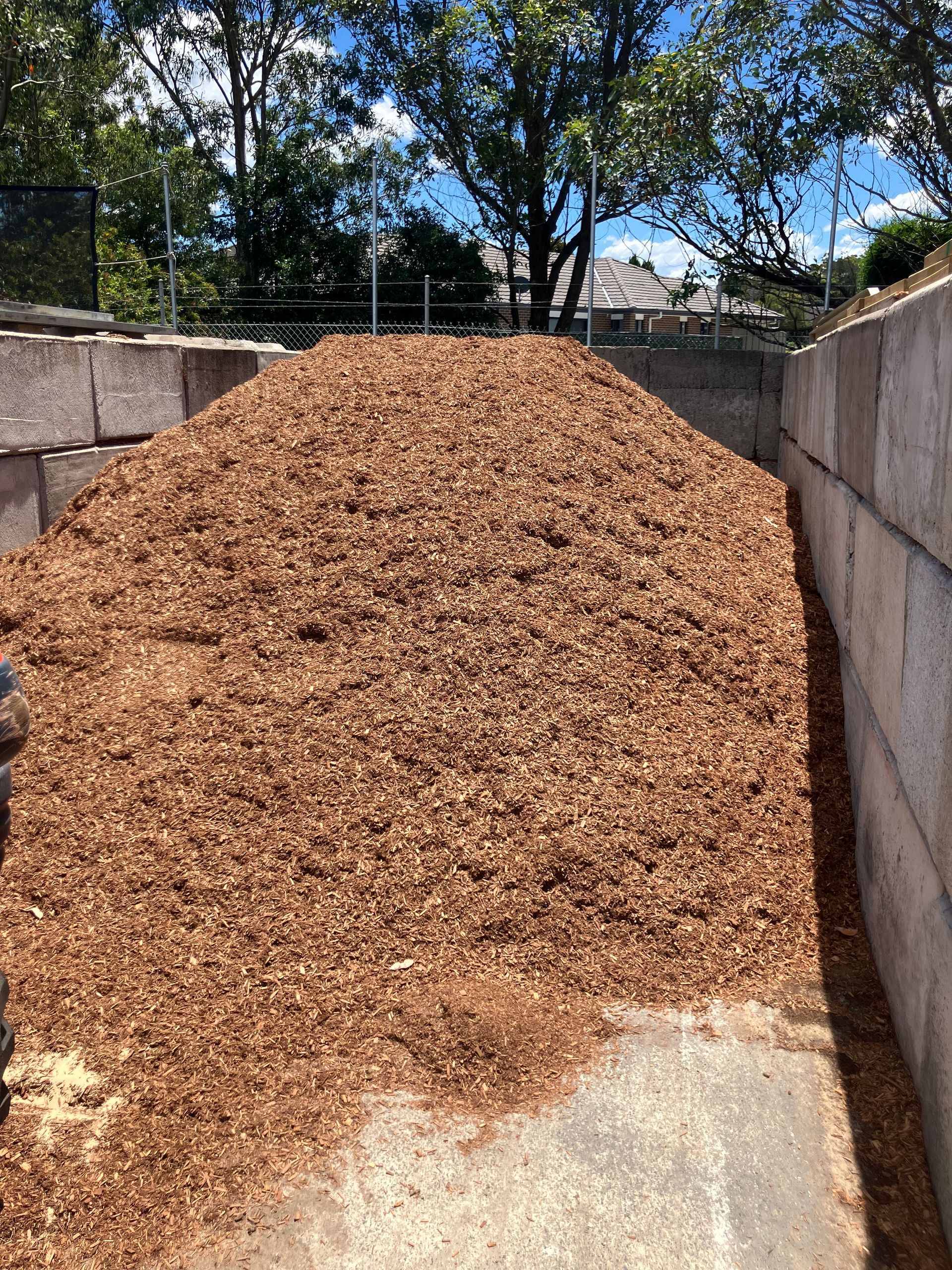 Pile of brown wood chips in a concrete-walled enclosure, with a partially visible background of trees and sky.