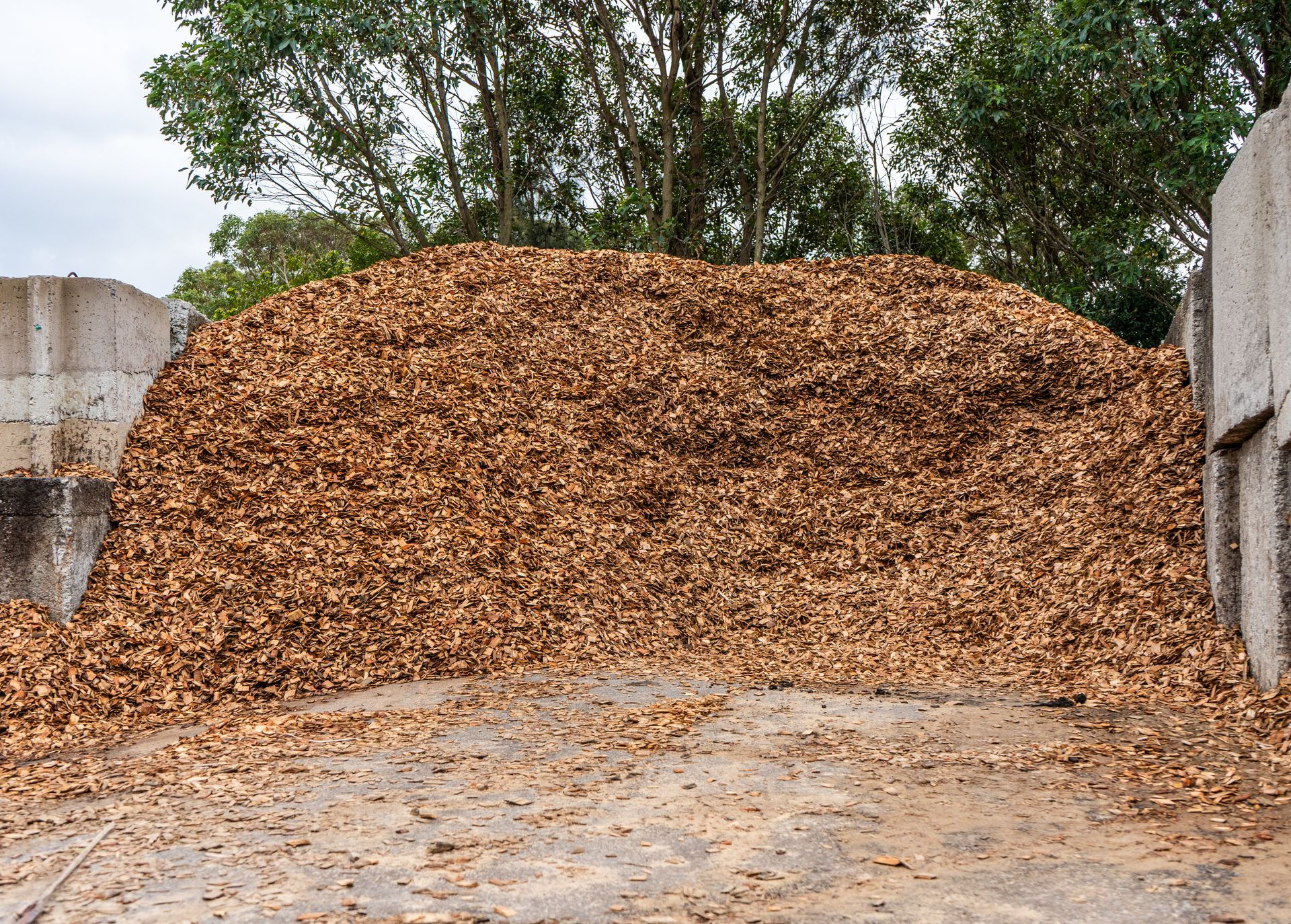 Large pile of wood chips in an outdoor yard, with concrete walls and trees in the background