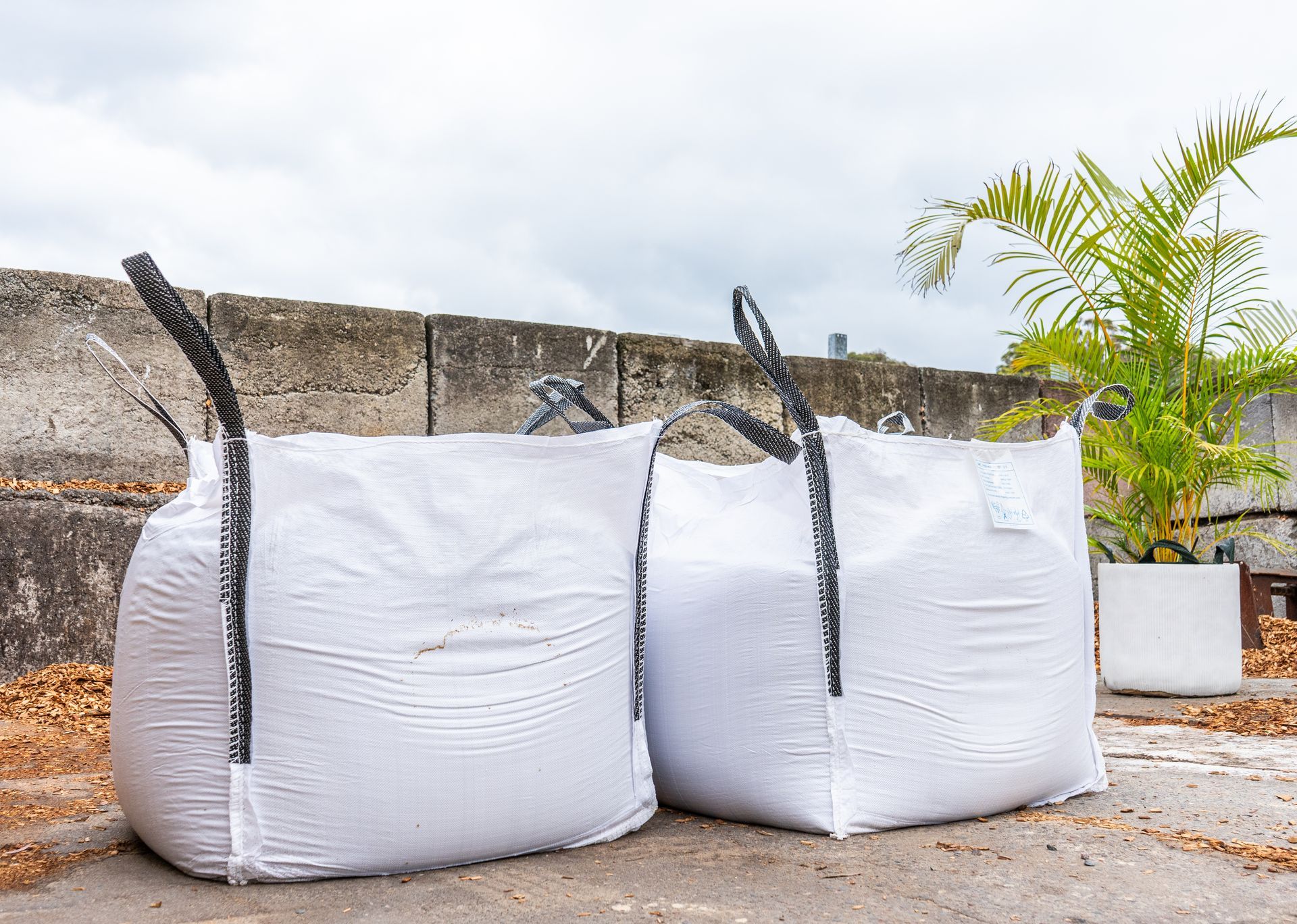 Two large white bulk bags on a rooftop beside a wall and palm plant under a cloudy sky