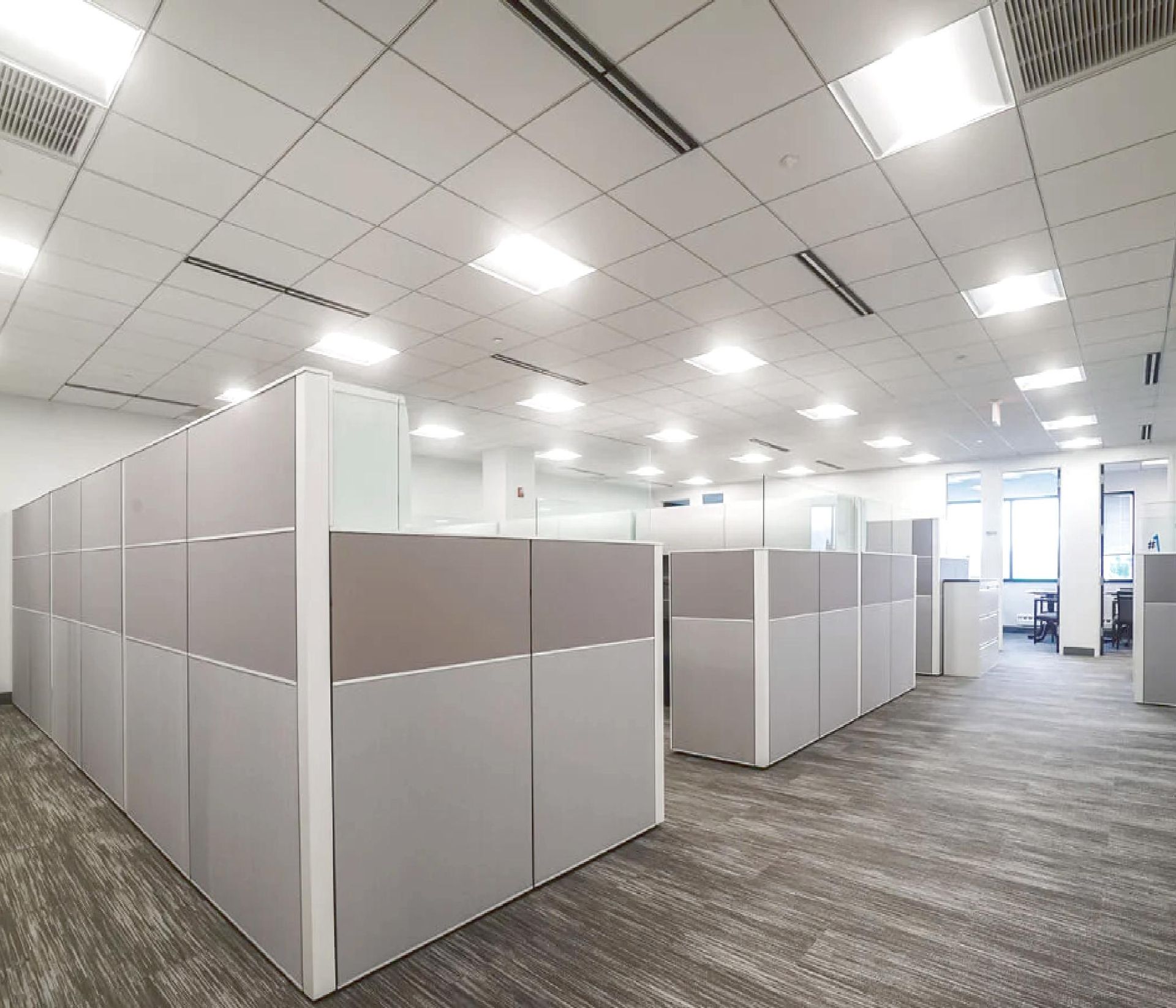 Open-plan office with gray cubicle partitions, white ceiling lights, and carpeted floor