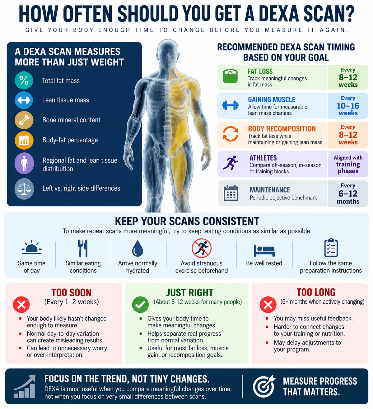DEXA scan timing guide showing recommended intervals for fat loss, muscle gain, body recomposition.