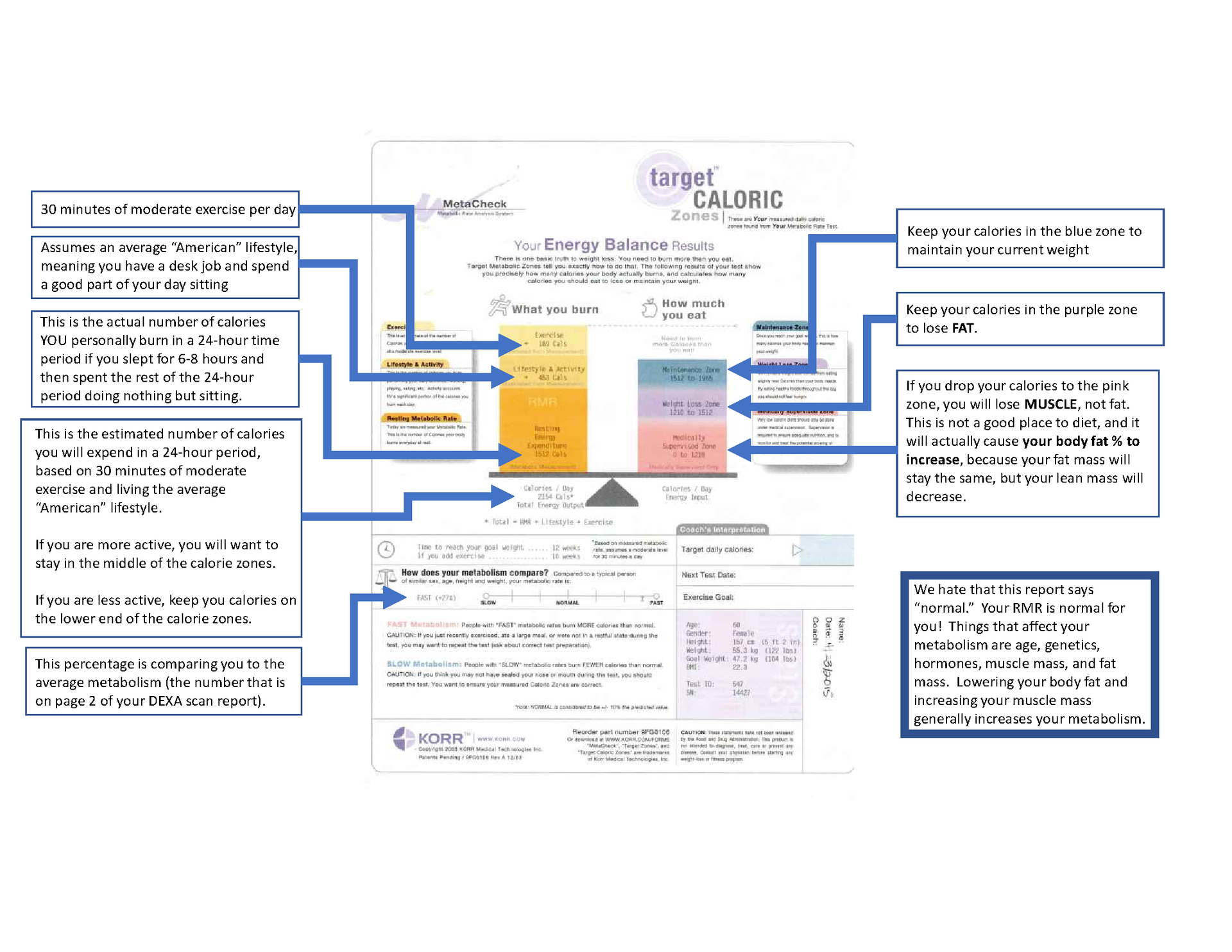 Resting Metabolic Rate report