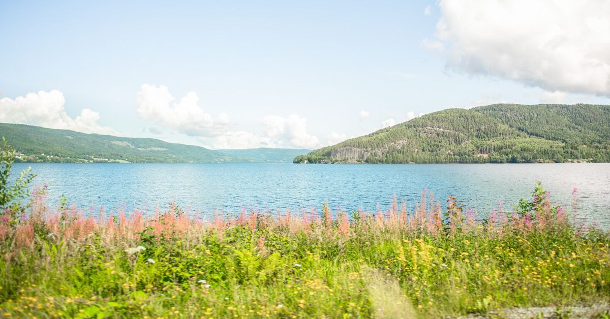 Foto: Gran kommune