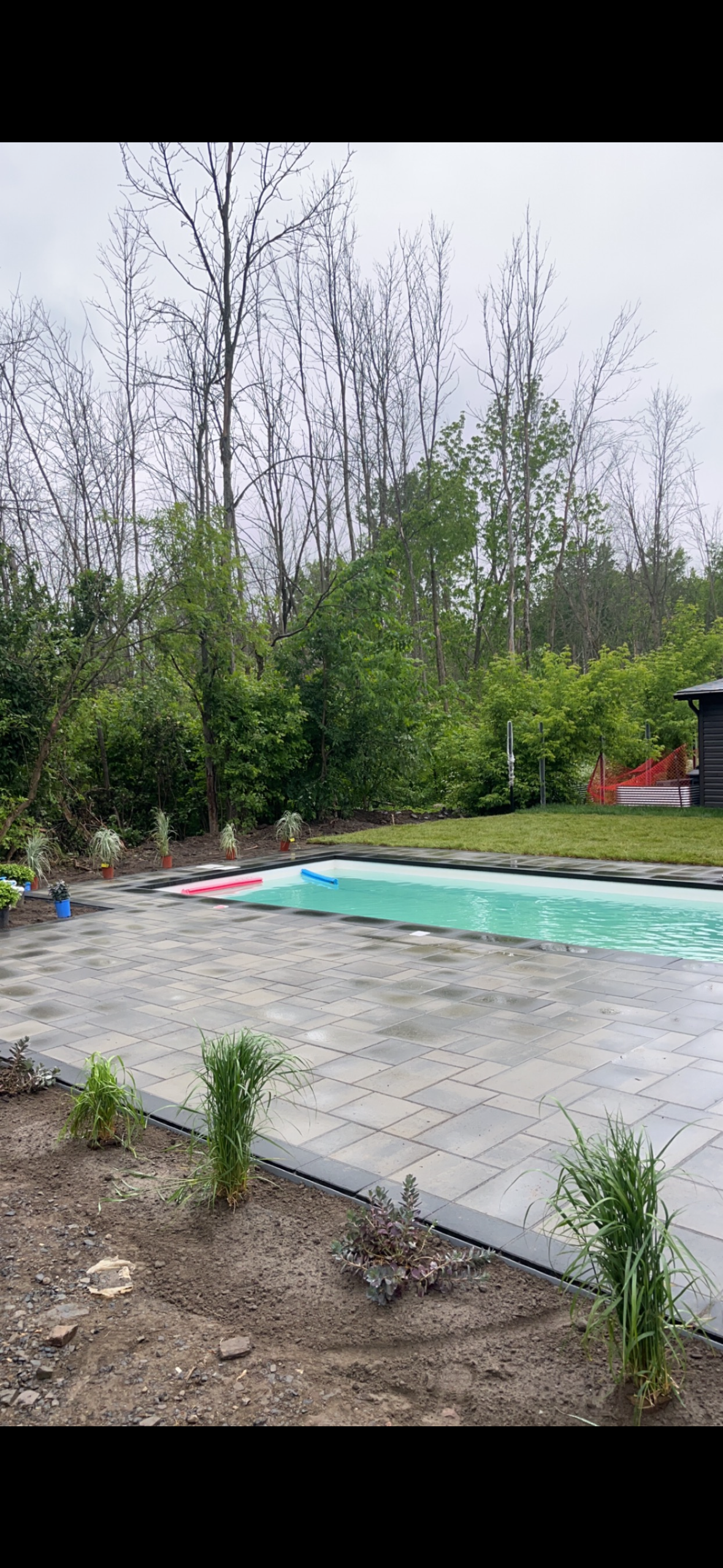 Une grande piscine est entourée d'arbres dans une cour arrière.