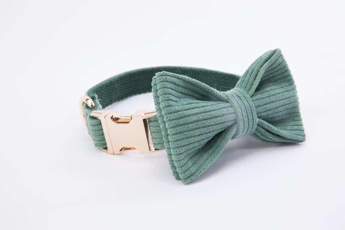Jewelry Photographer. — Evanston, IL — Bordeaux Studio