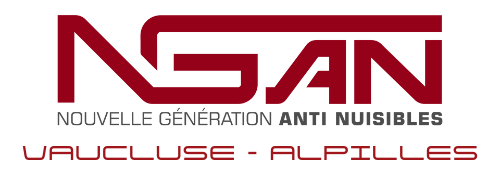 logo de l'entreprise ngan