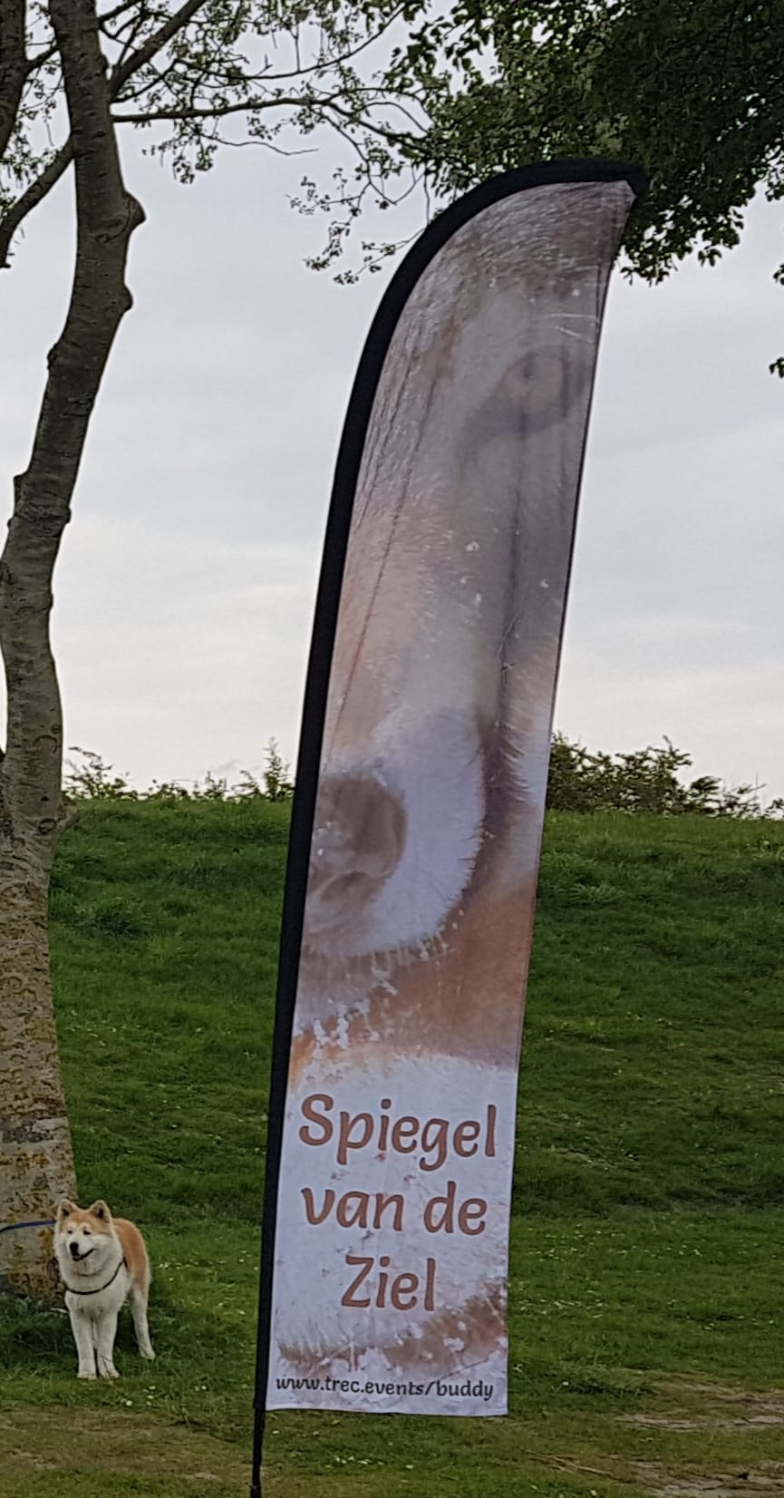 Beachvlag als herkenningspunt om te verzamelen Buddy, mens en Akita, RCN Zeewolde TREC, Akitadag
