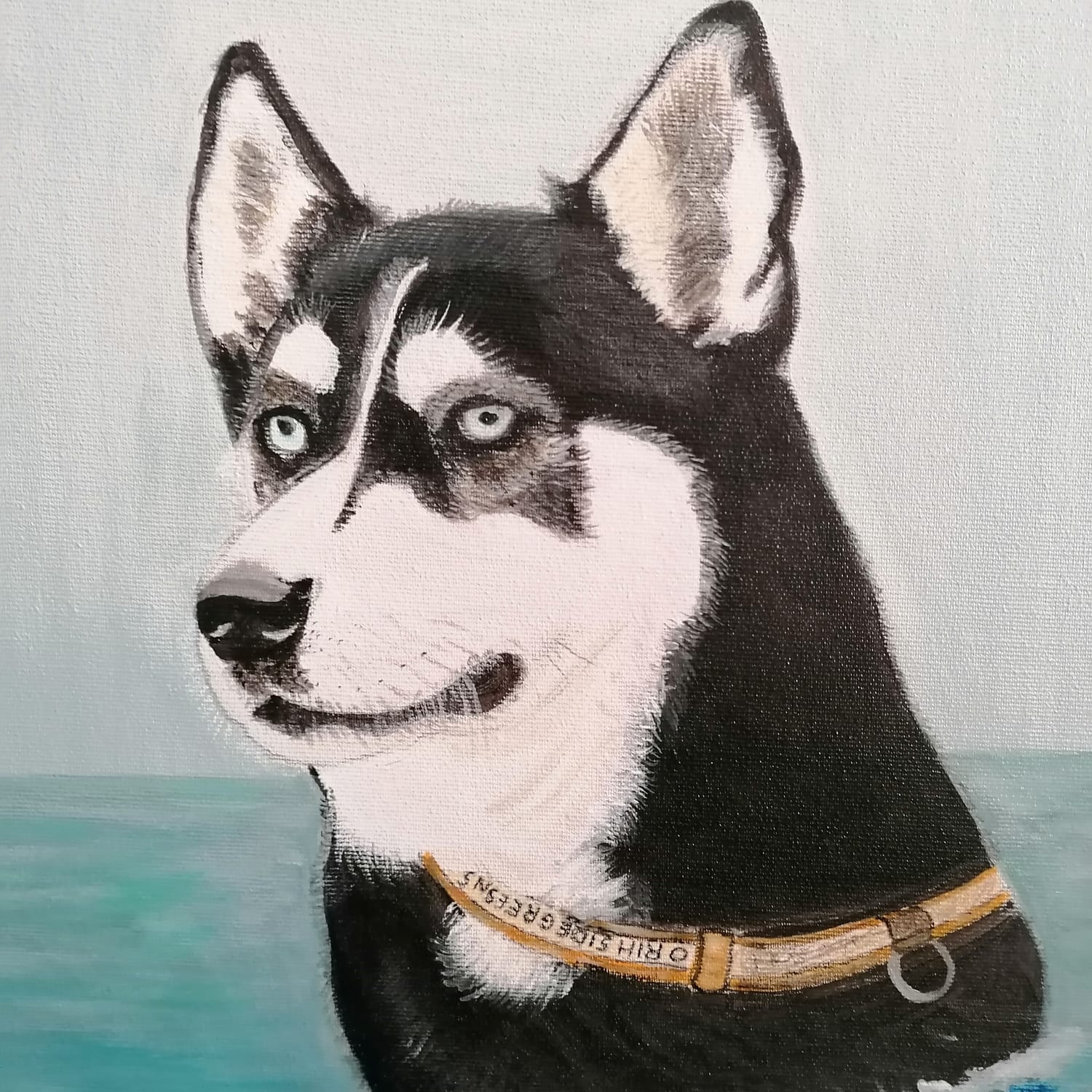 Malamute, Akita, TREC, Akitadag, spiegel van de ziel, Buddy voor mens en Akita
