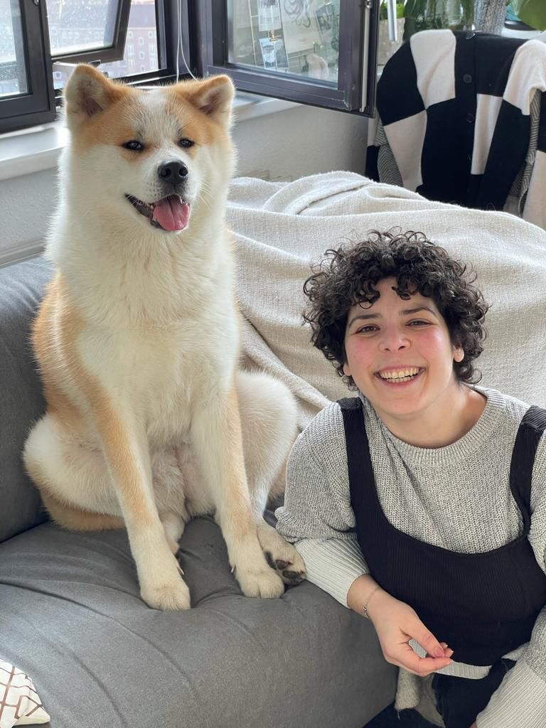 Akita, Japanse Akita, Amerikan Akita, begeleiding, bijtincident, bijten, muilkorf, energetisch werken, problemen, hulp, gedragdeskundige, gedrag, deskundige, Akita's, akita, Akitas