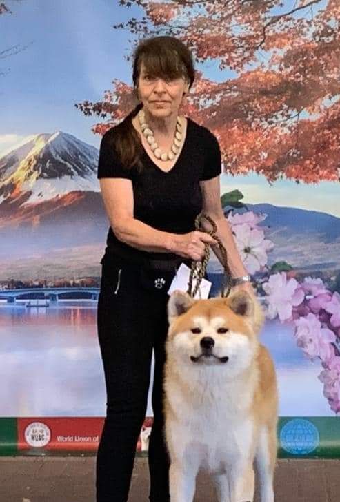 Togarashi akita kennel, TREC, Buddy voor mens en Akita, akitadag, events, RCN Zeewolde