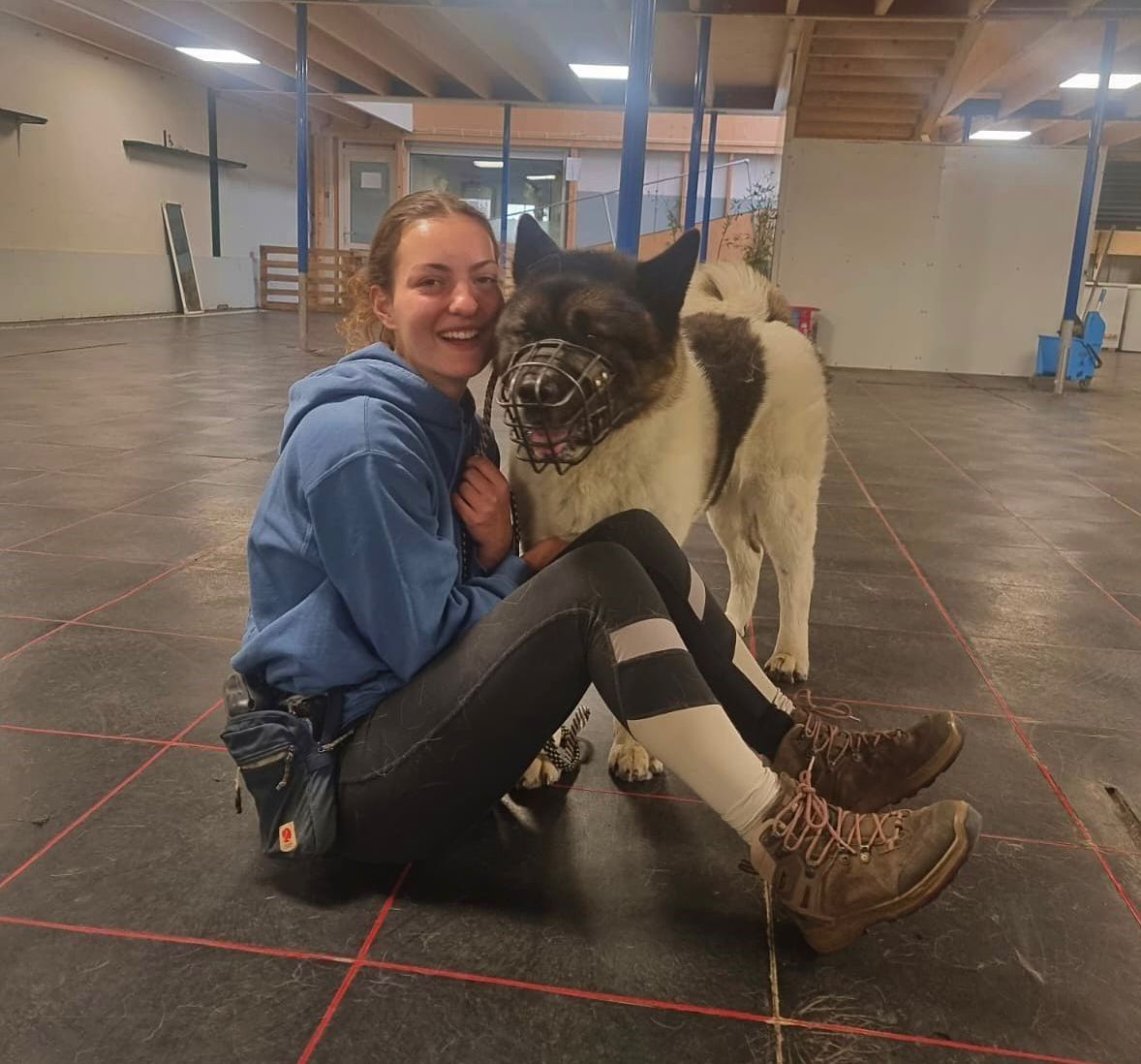animal faith, akita spiegel van de ziel, buddy voor mens en akita, akitarescue