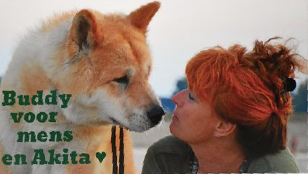 akita, spiegel van de ziel, workshops, herplaatsing, akita met rugzak, akitadag, evenementenorganisatie, colijnsplaat, zeeland,