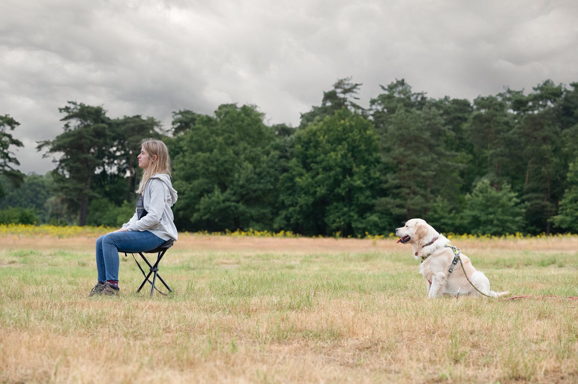 Buddy voor mens en Akita, spiegel sessie, spiegelcoaching, coaching, spiegelen, Akita,  Akkitarescue, Akita spiegel van de ziel