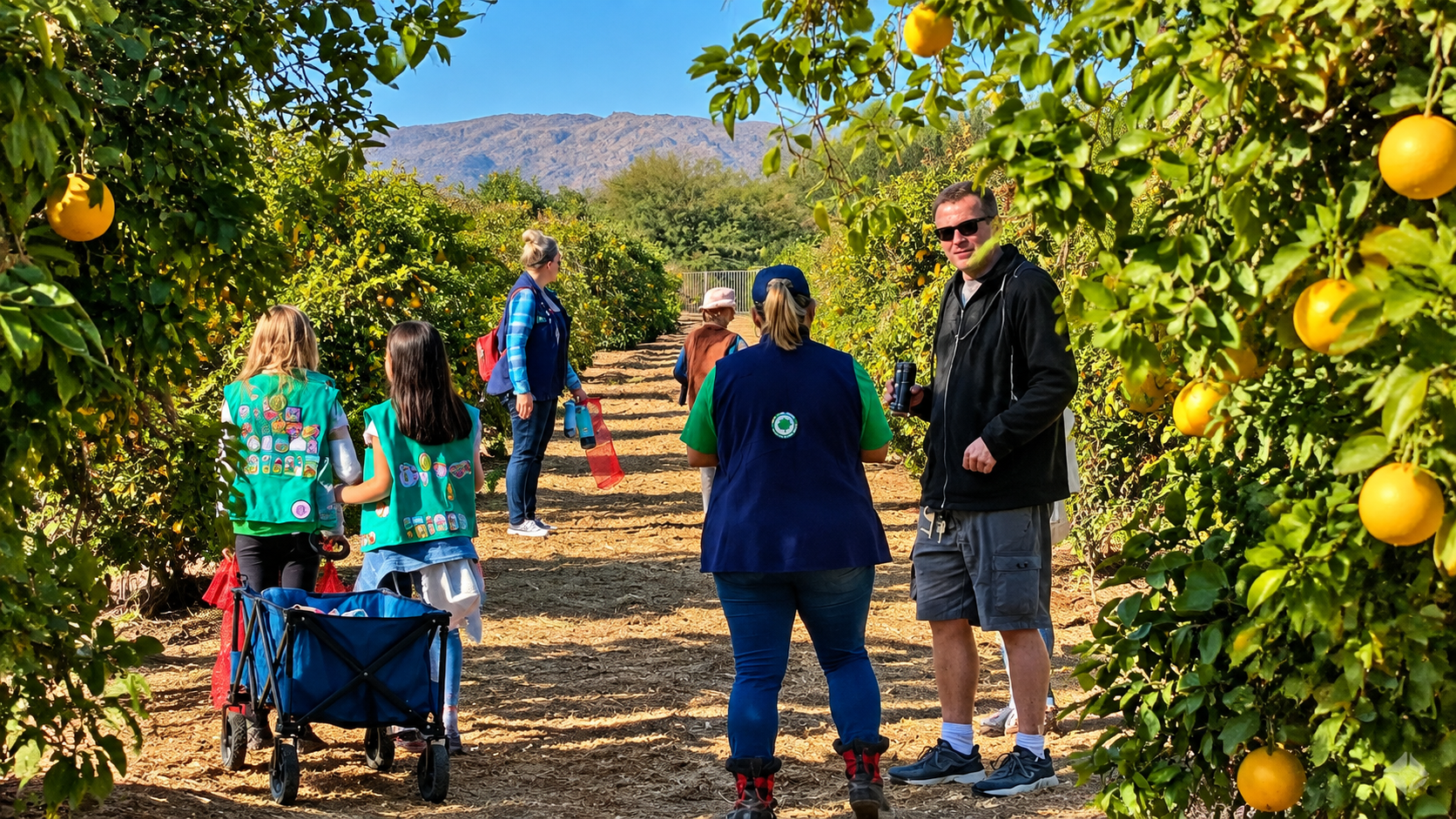 People walking along a citrus orchard path with mountains in the background