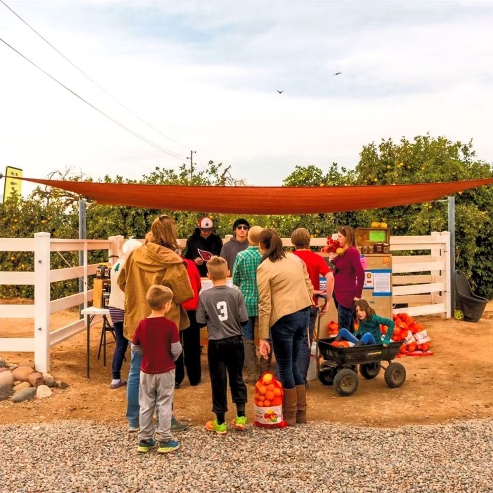 People gathered at a farm entrance under an orange canopy, with children and a wagon of pumpkins.