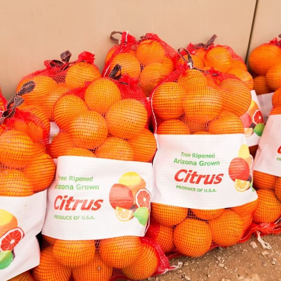 Piles of netted oranges with labels in a produce display