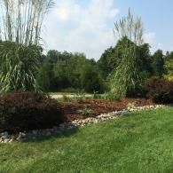 Landscaped garden with tall ornamental grasses, shrubs, and a curved stone border under a blue sky