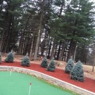 Mini golf green beside red mulch and small evergreen trees in a wooded park