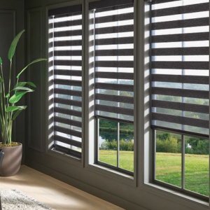 Living room with striped blinds, a potted plant, and sunlight overlooking a green yard