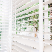 White window blinds with sunlight filtering through to a leafy outdoor view