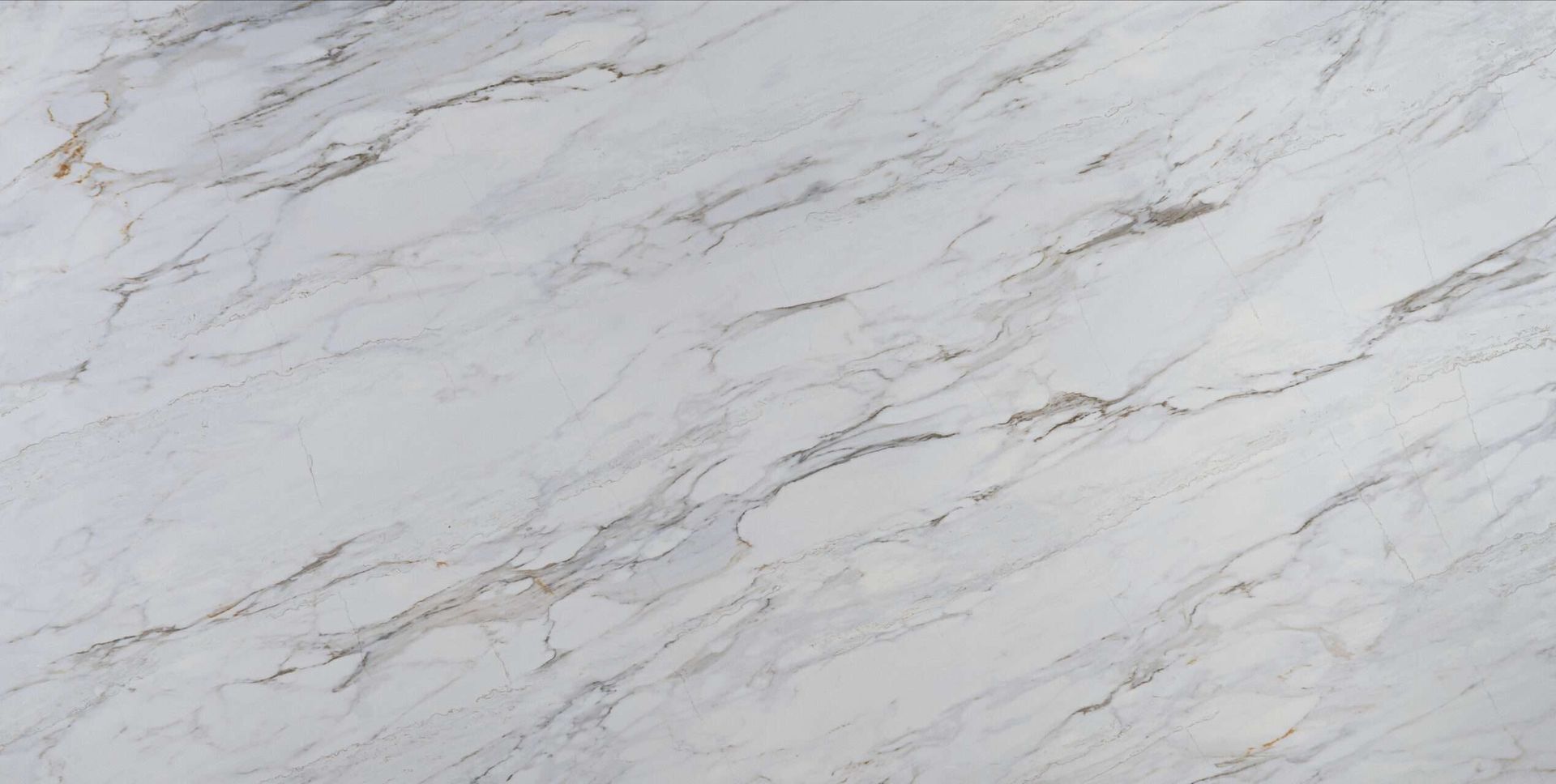 White marble slab with gray and gold veining.
