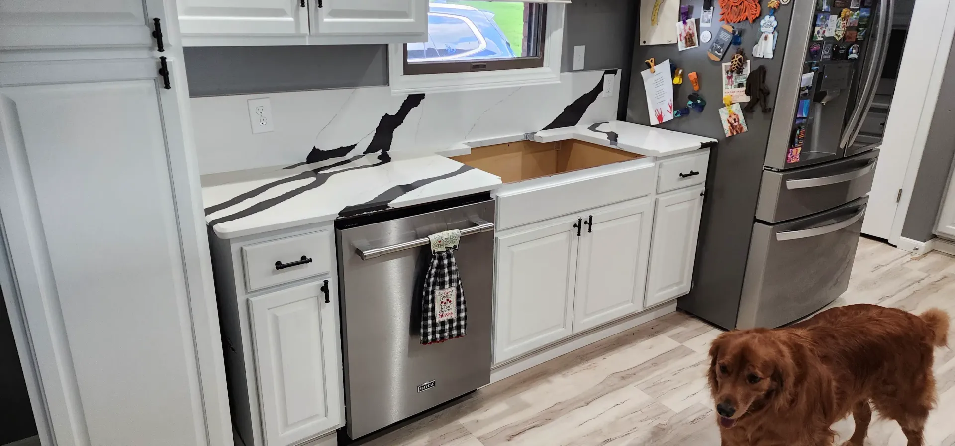 Kitchen remodel with white cabinets, stainless steel appliances, and a dog.