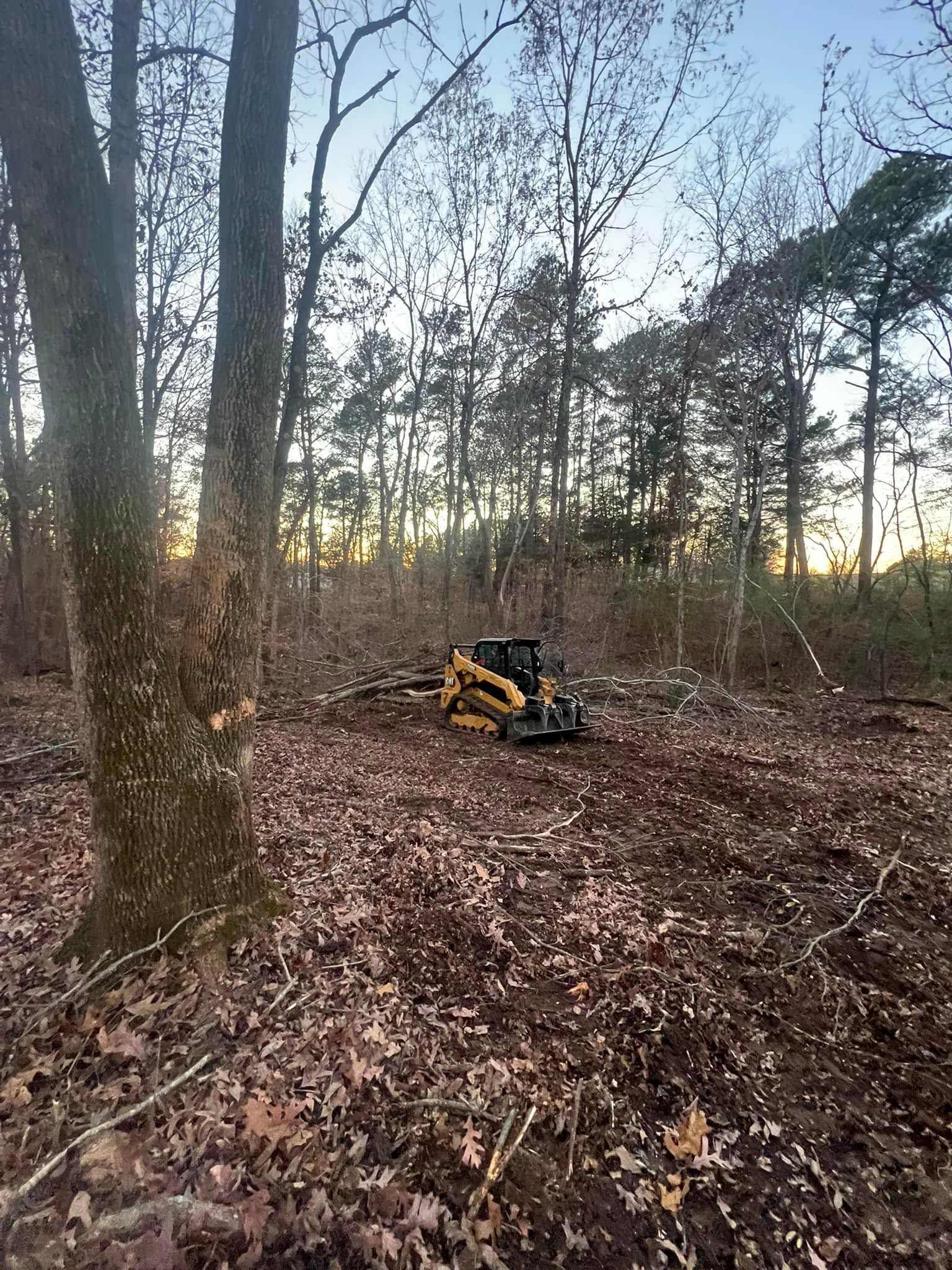 Small yellow excavator clearing leaves in a wooded area at dusk