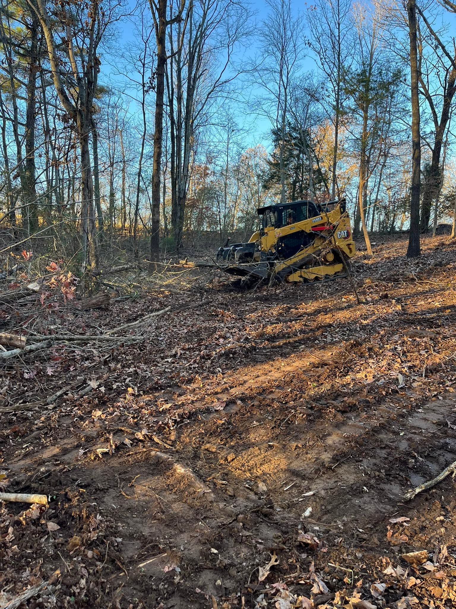 Yellow skid steer on a wooded dirt path, surrounded by bare trees and leaf-covered ground.