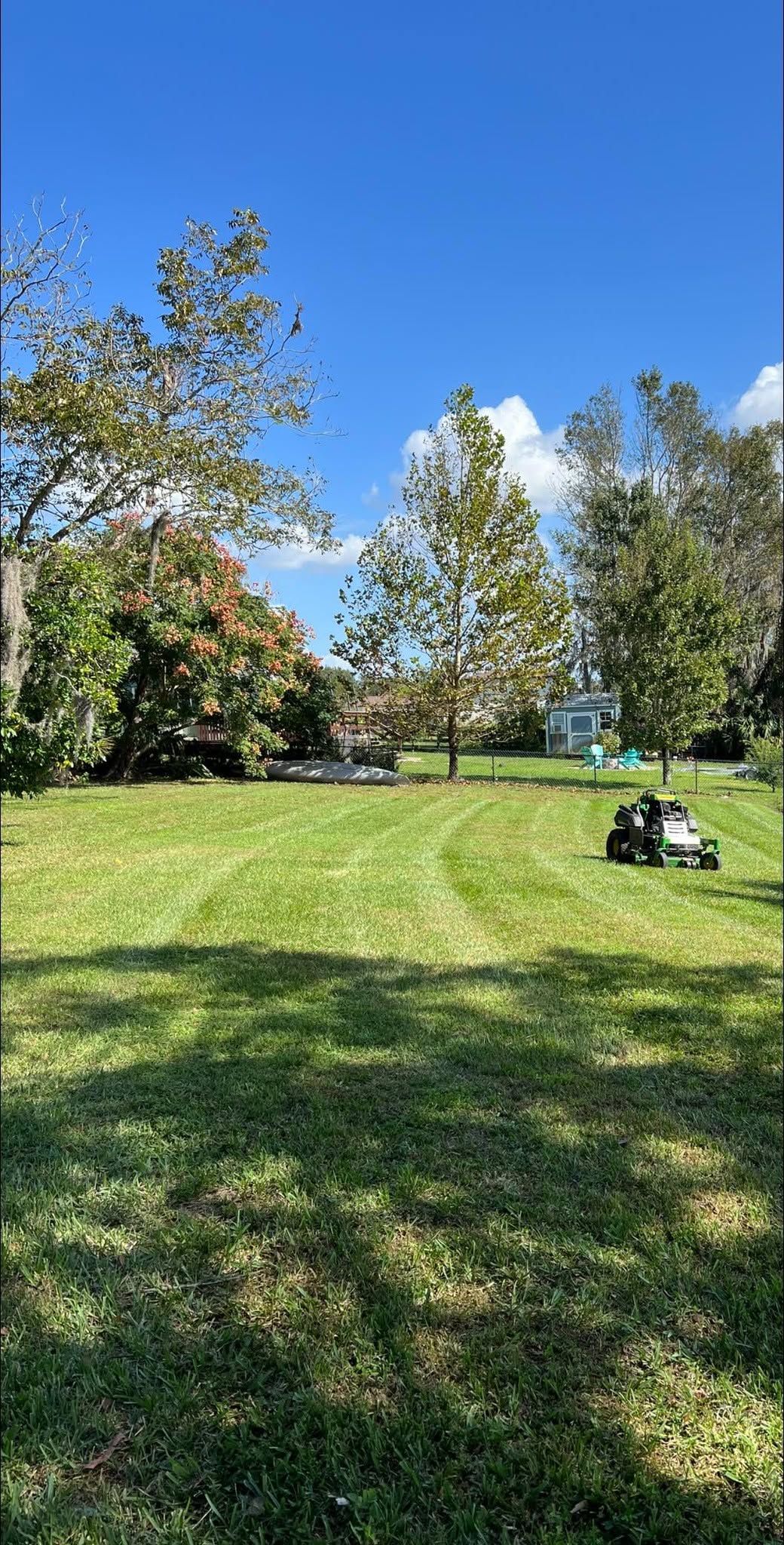 Sunny park with green lawn, trees, and a person sitting on a small black-and-white lawn mower.