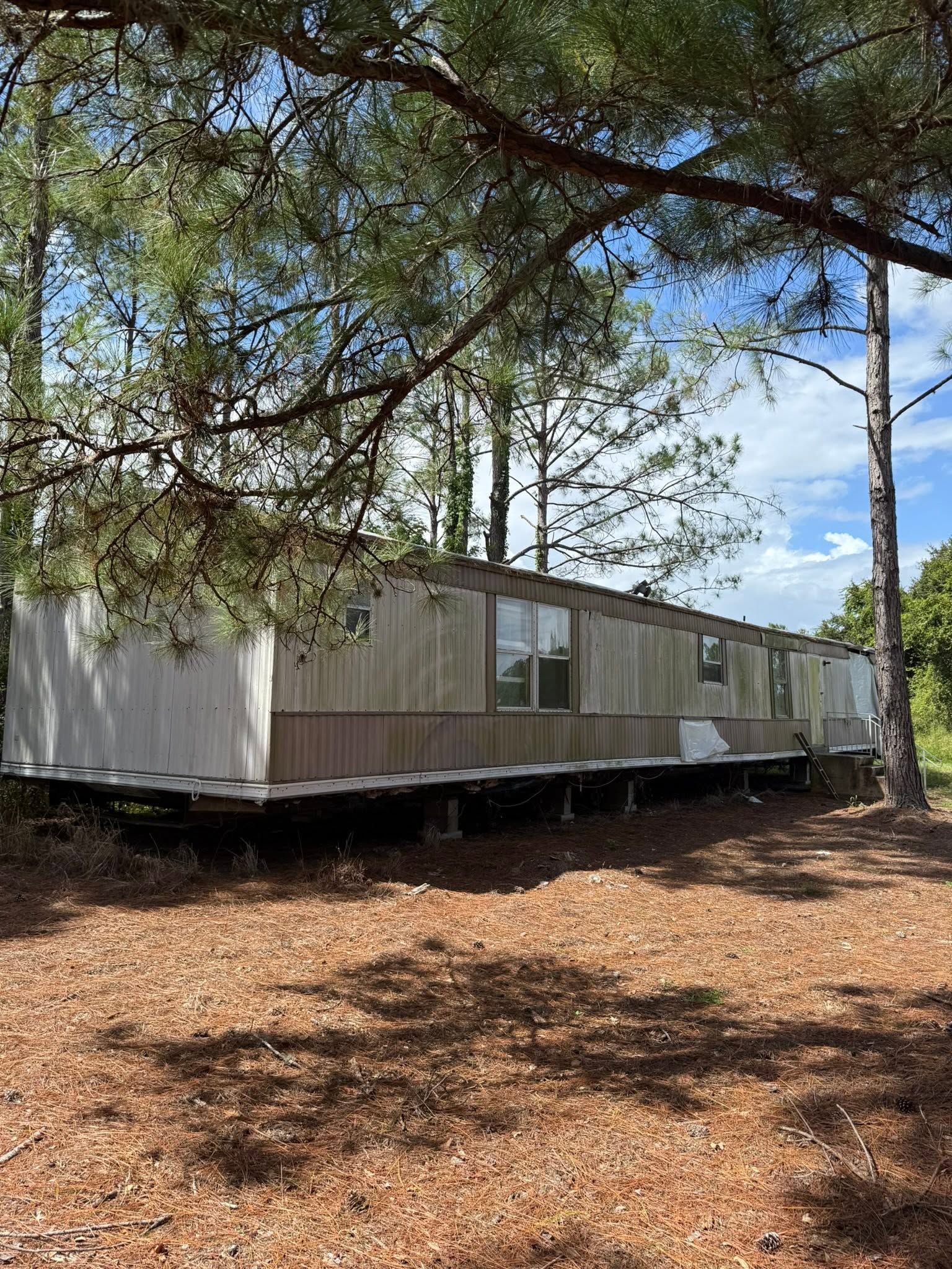 White mobile home on stilts in a wooded area with pine trees and a leaf-covered ground