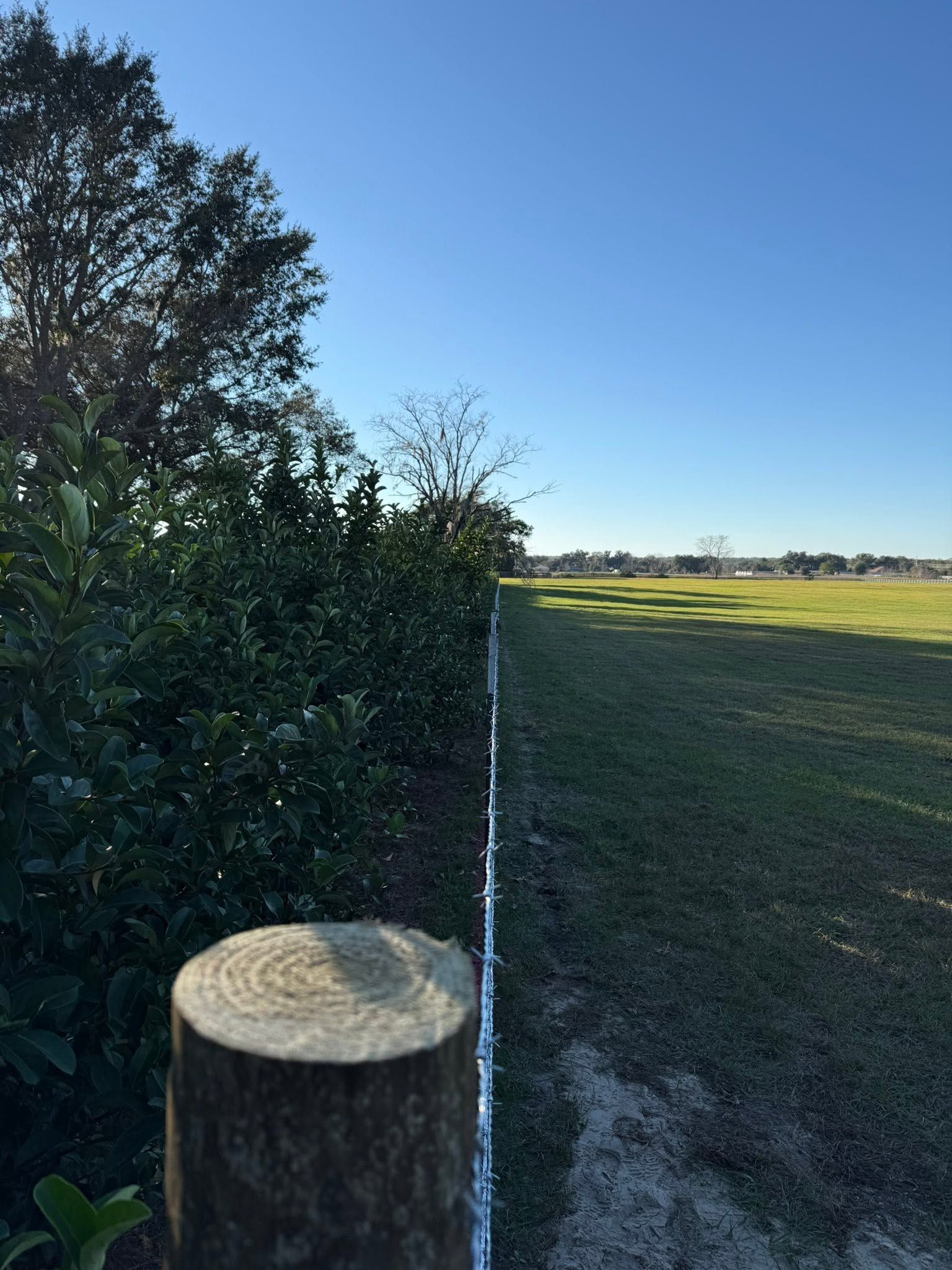 Rural fence line beside a grassy field under a clear blue sky, with trees on the left.