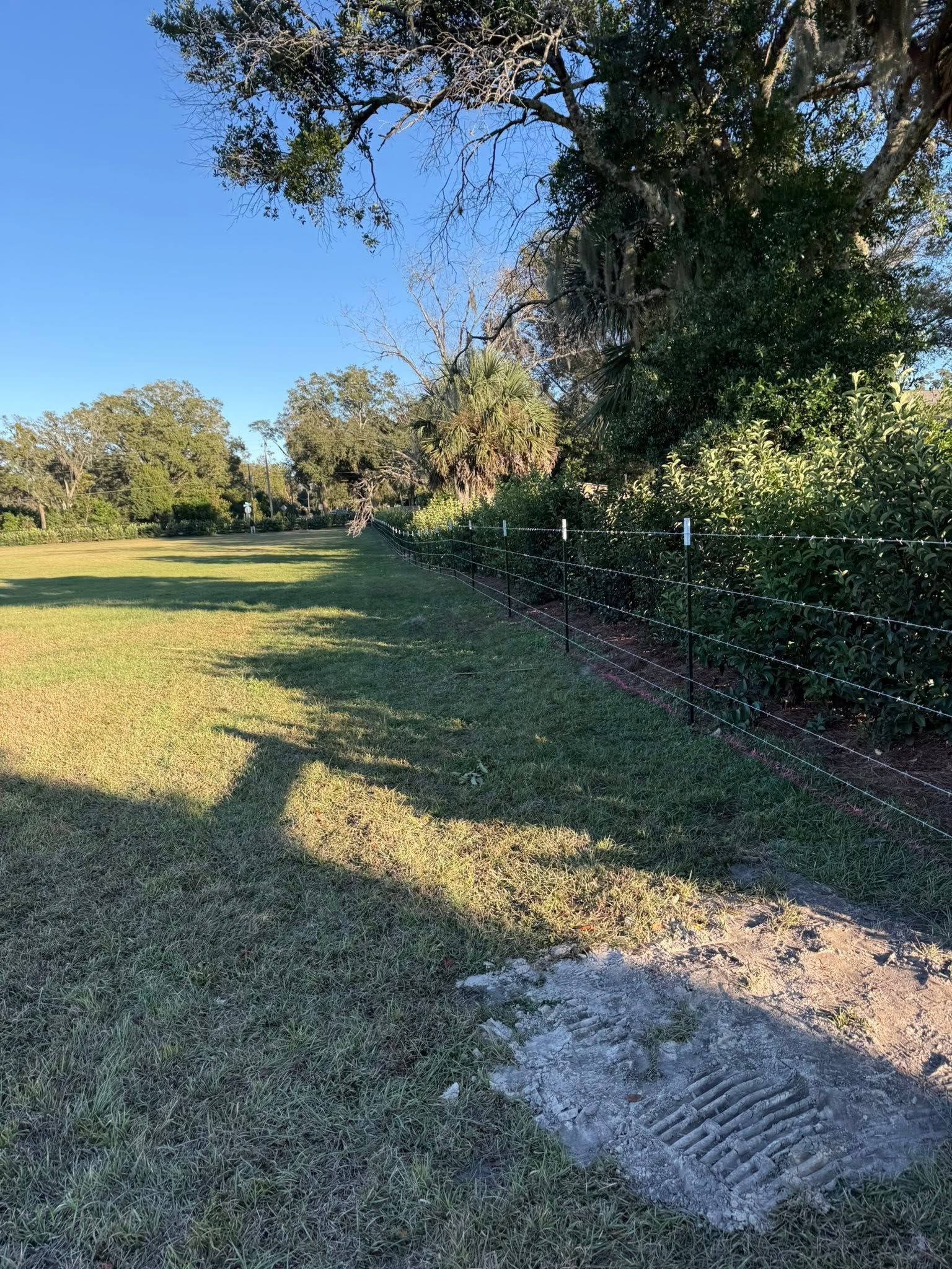 Sunny grassy park beside a chain-link fence, with trees and long shadows.