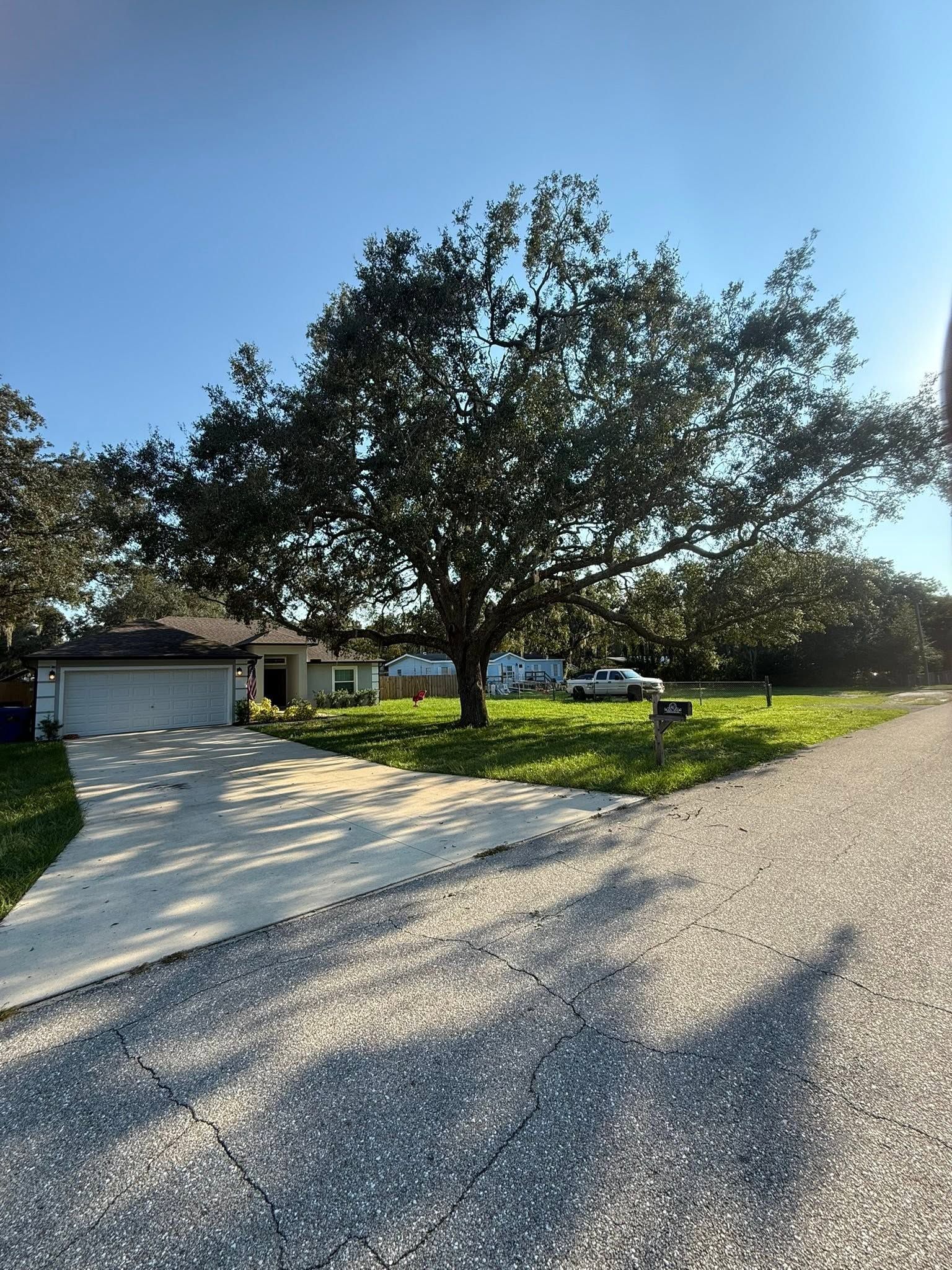 Sunny suburban driveway with a large oak tree, garage, and long shadows on the pavement