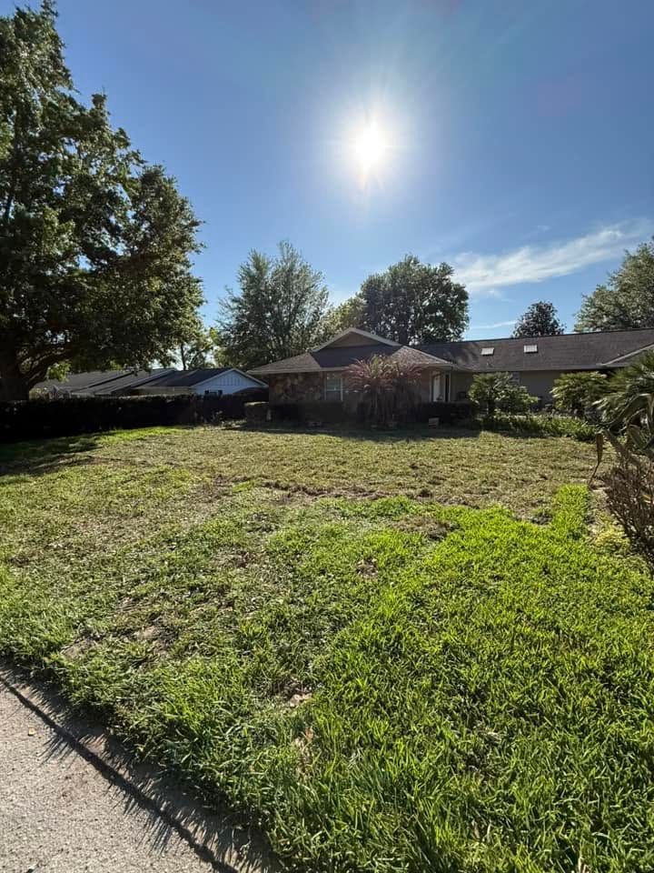 Sunny backyard with a grassy lot, trees, and single-story houses under a bright blue sky