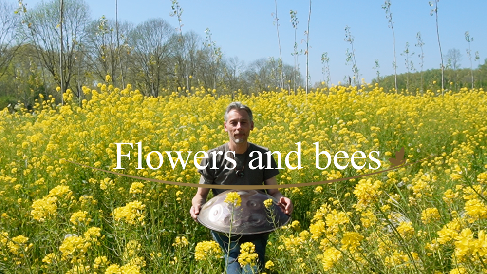 Persoon met handpan in een veld met gele bloemen; titel 