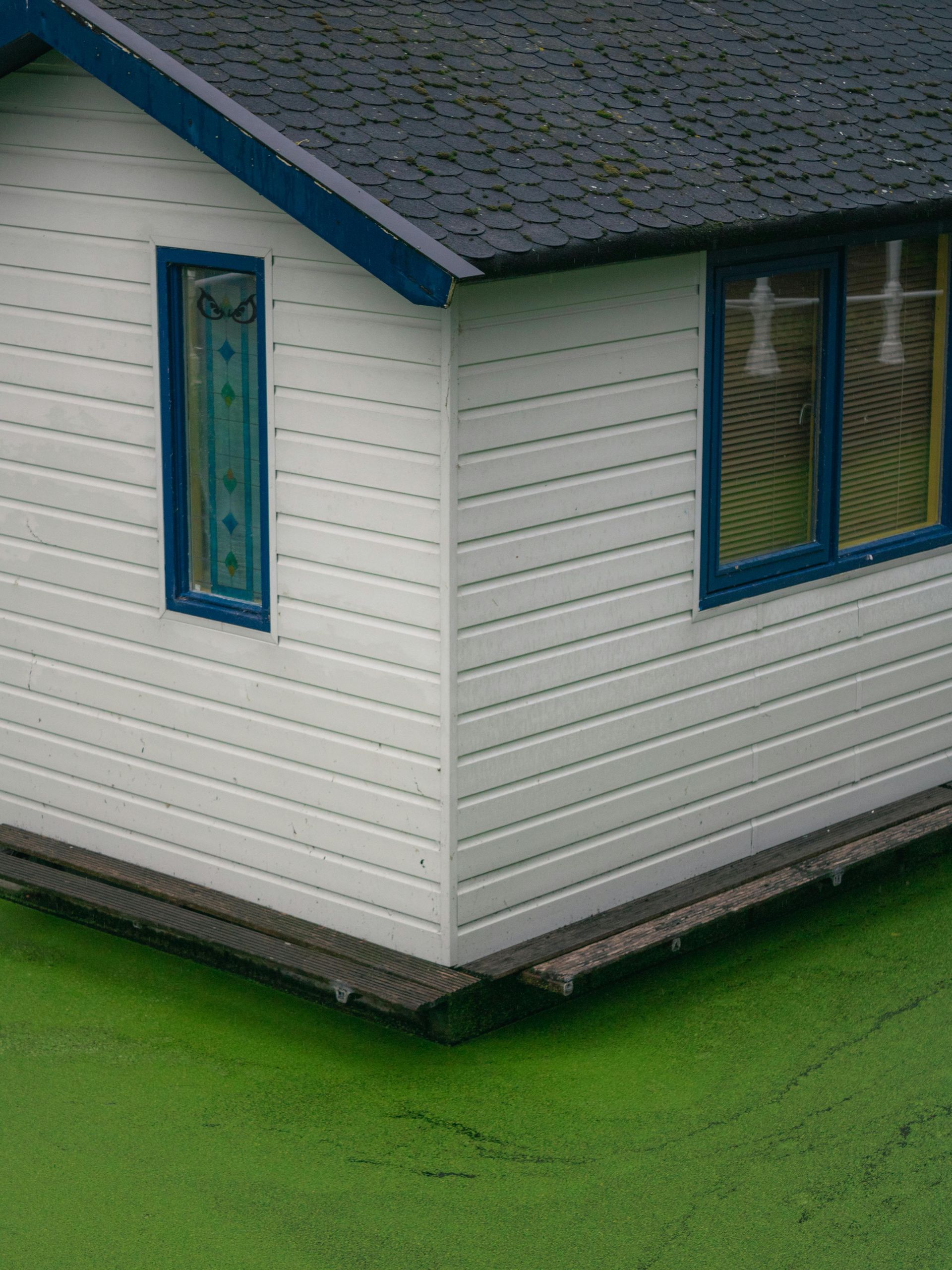Corner of a white house with blue-trimmed windows and a dark shingled roof, beside bright green grass.