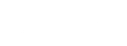 Blank white image with a thin black horizontal line near the top