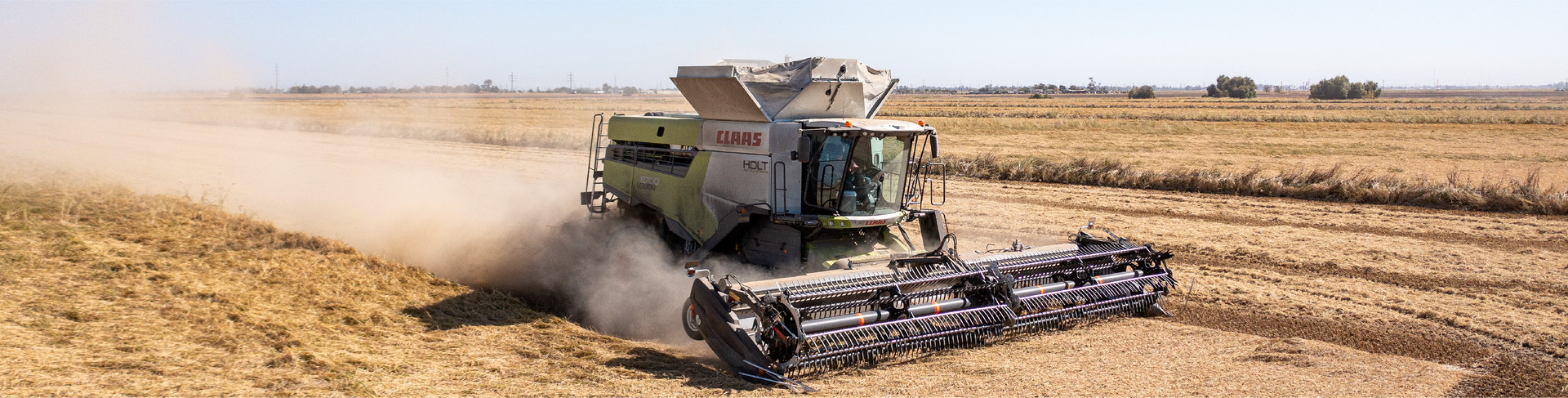 Combine harvester operating in a wheat field, kicking up dust under a clear sky.