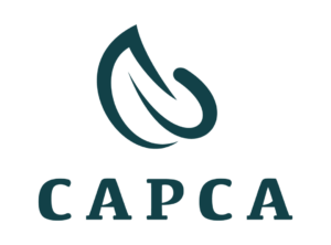 Dark teal leaf-like logo above the letters