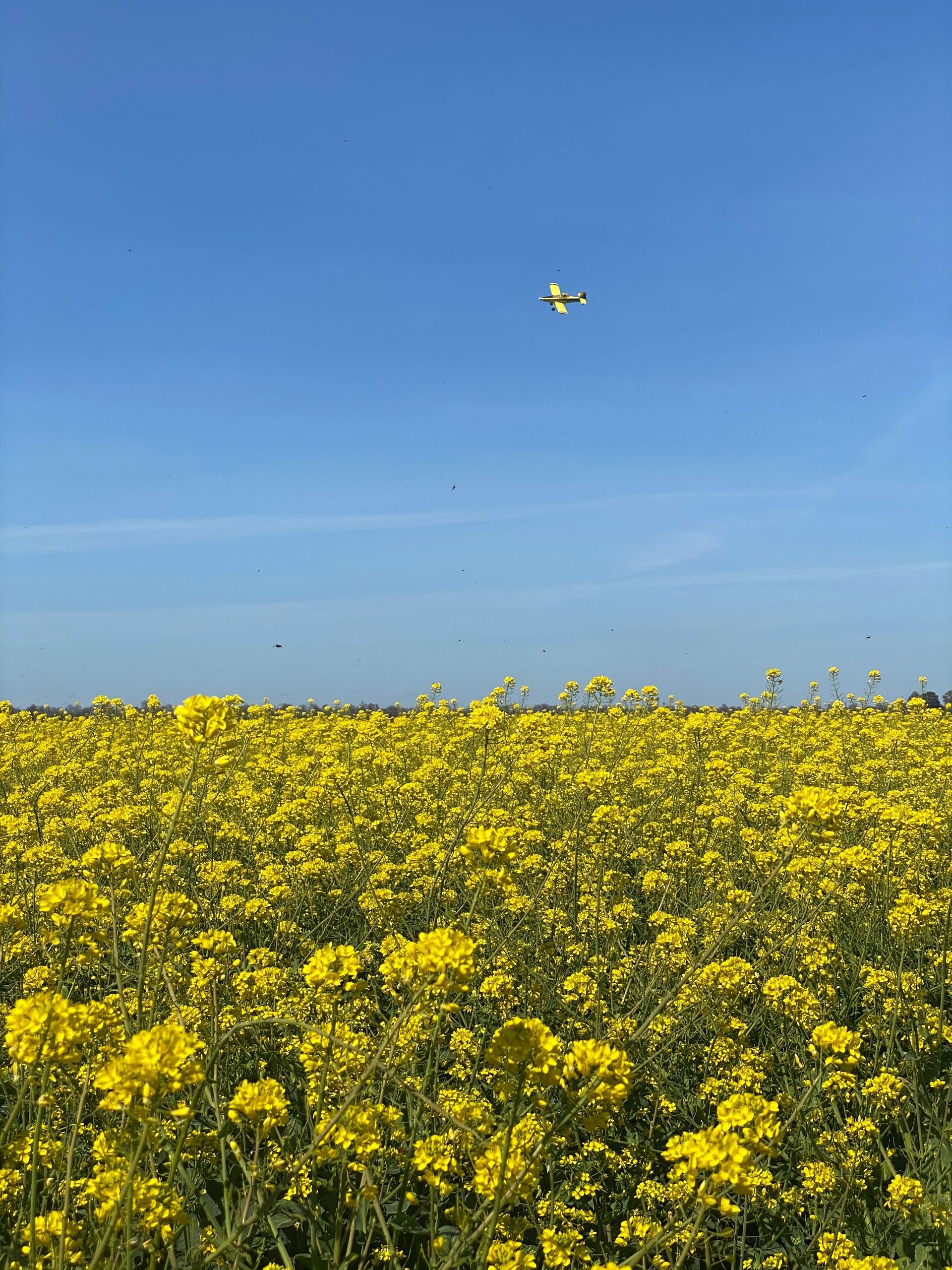Growing Together – Spring 2026