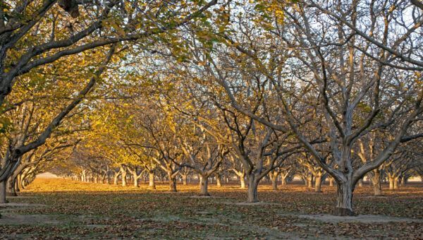 Growing Together – Fall 2025