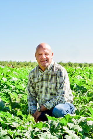 Man kneeling in a field of green plants, wearing a plaid shirt and blue jeans, smiling.