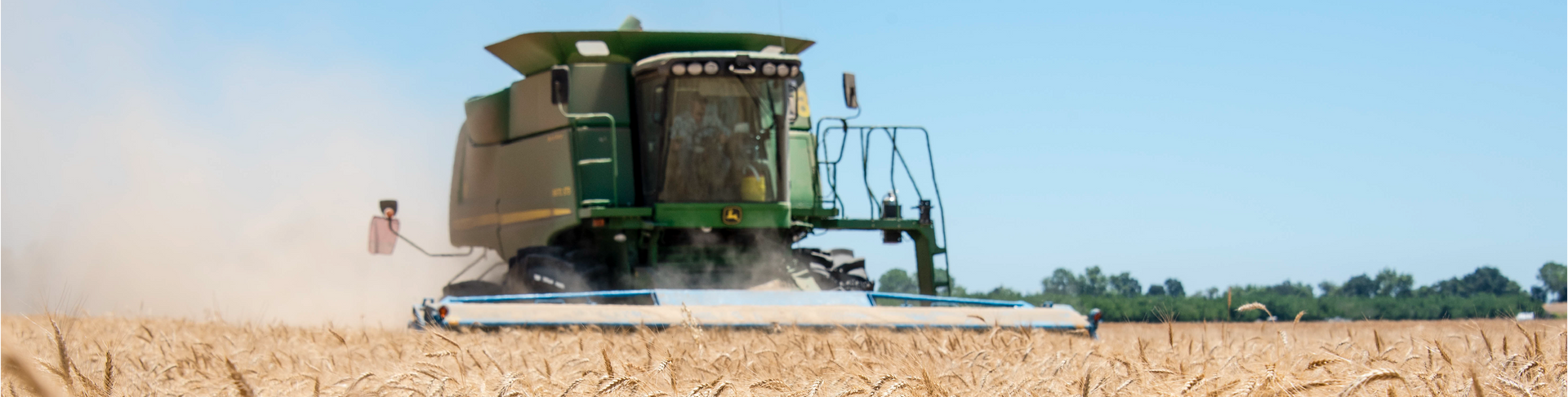 A green combine harvester in a wheat field, harvesting crops under a clear blue sky.