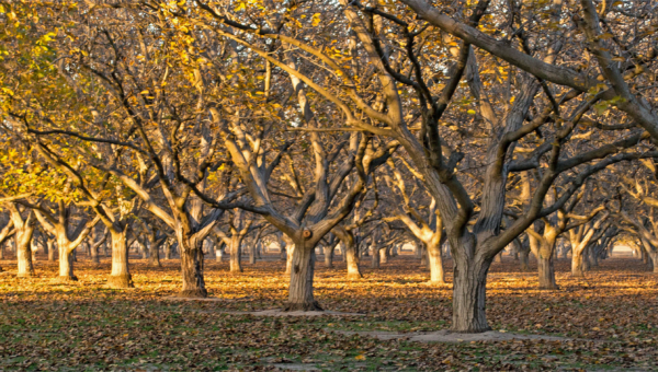 Growing Together – Winter 2024