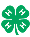 Green 4-H clover with a white