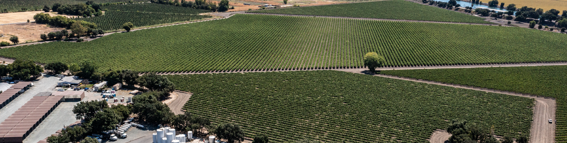 Aerial view of a vineyard with rows of green plants and a building complex.