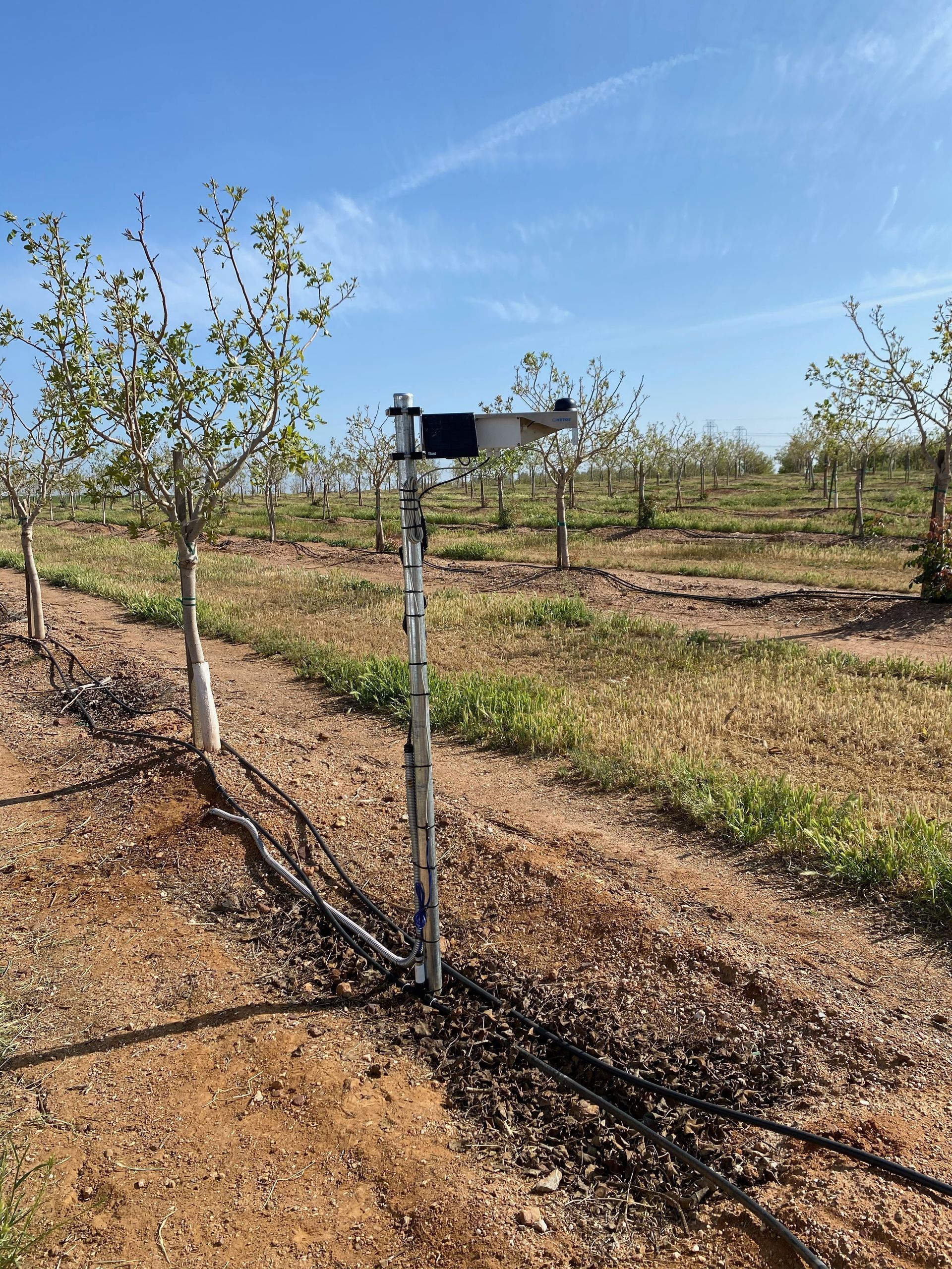 Soil moisture monitoring station.