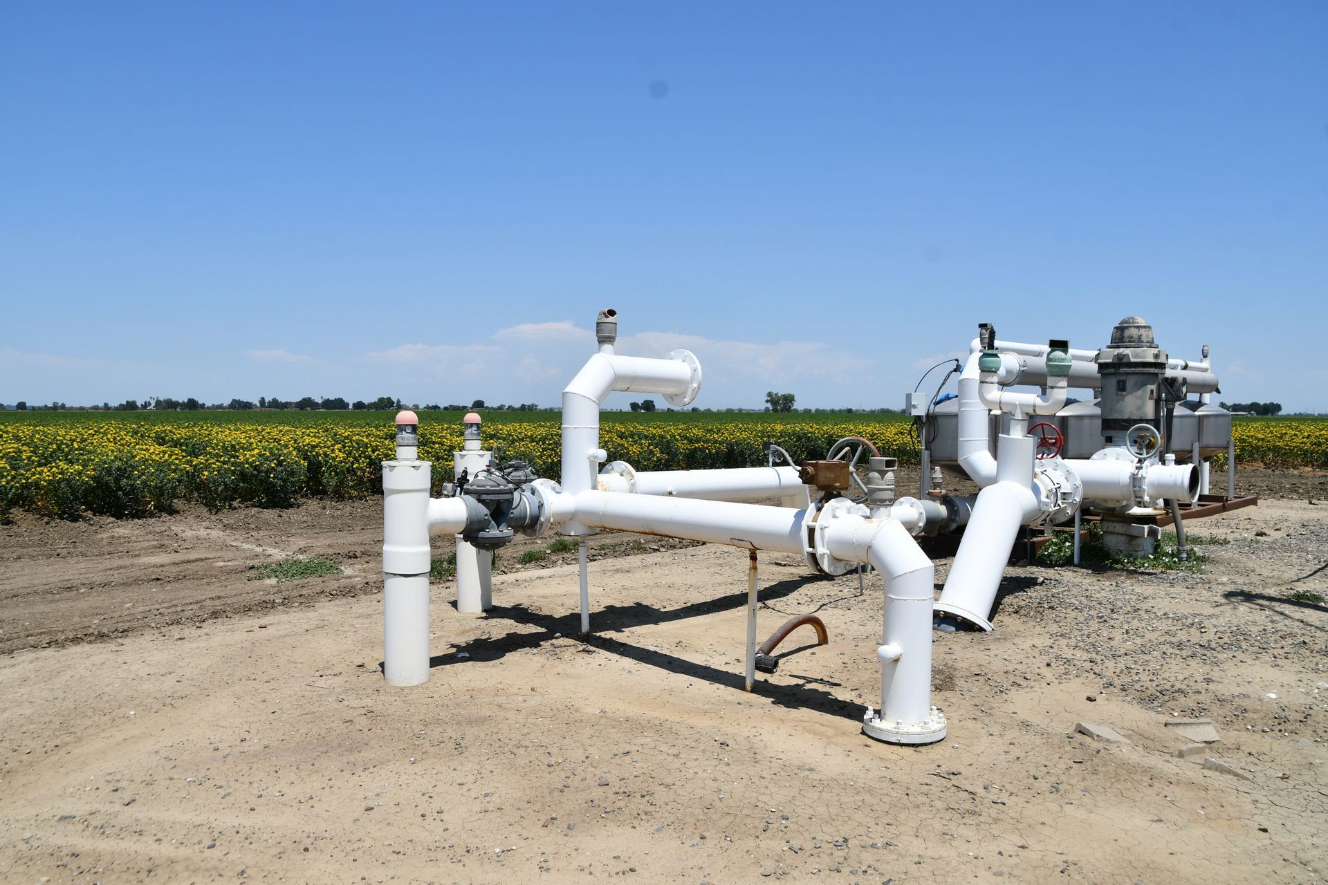 White irrigation pipes in a farm field under a clear blue sky, with sunflowers in the background